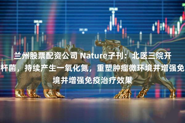 兰州股票配资公司 Nature子刊：北医三院开发抗癌大肠杆菌，持续产生一氧化氮，重塑肿瘤微环境并增强免疫治疗效果